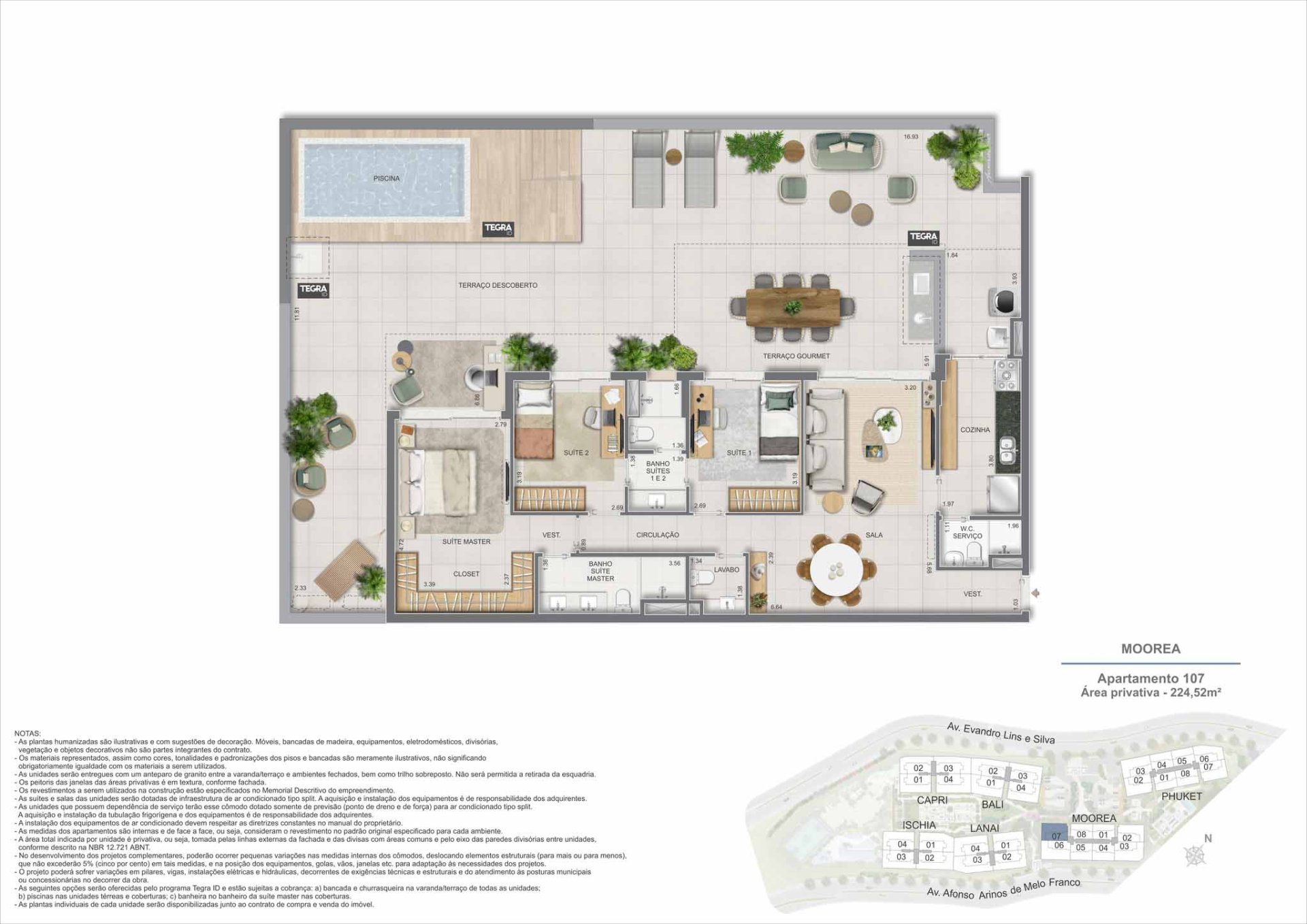 Planta 25